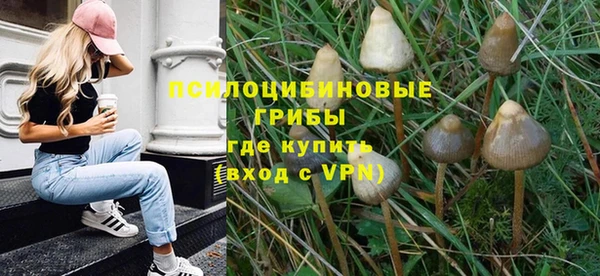 не бодяженный Абаза