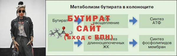 прущие грибы Наволоки