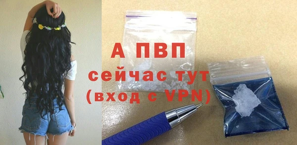прущие грибы Наволоки