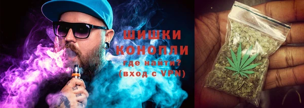 прущие грибы Наволоки