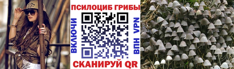omg   Юрюзань  Галлюциногенные грибы Psilocybe 